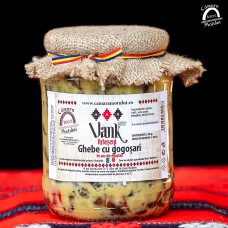 GHEBE CU GOGOSARI IN SOS DE MUSTAR